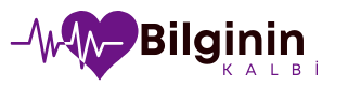 Bilginin